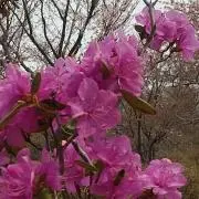 ayの画像