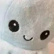 トキの画像