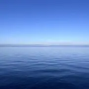 N.