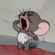 kyokaの画像