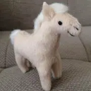 しょーこの画像