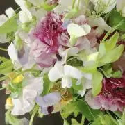 プロフご確認下さいの画像