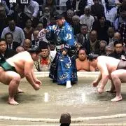 びーさん