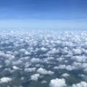 ちゃっぴーの画像