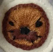 トド100%の画像