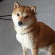 ショップまるの画像