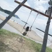 HNの画像