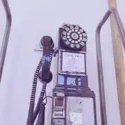 やっちまんの画像