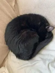 仕入れ先ショップの画像