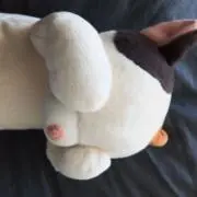 ぶらっきー