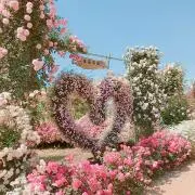 ぱん❁⃘*.《プロフィール必読·͜· 》の画像
