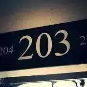 RM 203の画像
