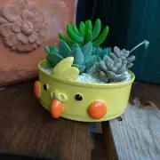 cotocoto●週末発送になりますの画像