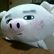 田中カメラ店の画像