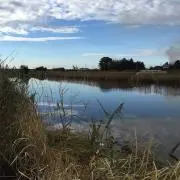 Masaの画像