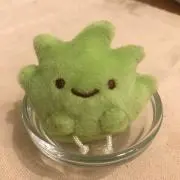 kalinの画像