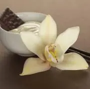 Vanilla