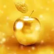 ララ⁂即購入◉の画像