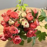 なるこの画像
