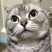 ジュンの画像