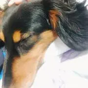 ののの