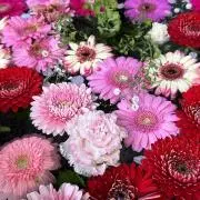 花⭐︎花の画像