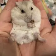 ちか