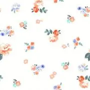 mintの画像