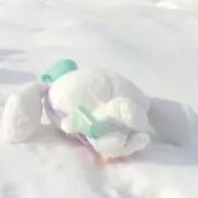 のあまるの画像