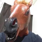 Sの画像