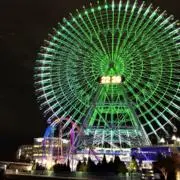 セロリの画像