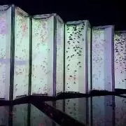 ゆゆ