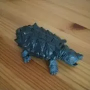 なっちゃんの画像