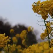 mmmmの画像