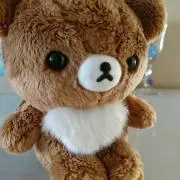☆hoshi☆プロフ読んでね(*´ω｀★