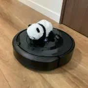 りんりんの画像