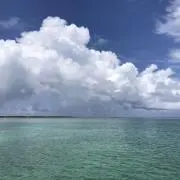 ikuの画像