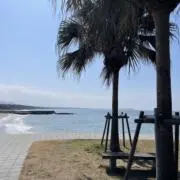 りおんの画像