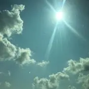 フラワー