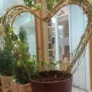 ヒロ