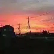 ☆あおい☆の画像