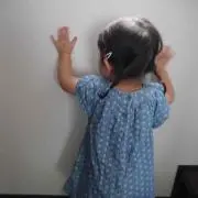しらすずの画像