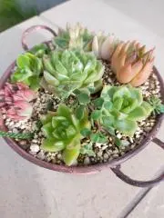 もこの画像