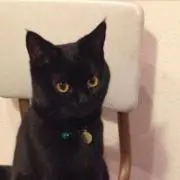 もこの画像