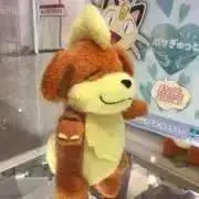 はとぽっぽの画像