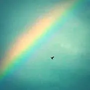 ぺこちゃん♫の画像