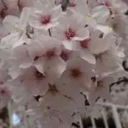 azuの画像