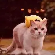 カン