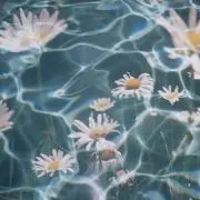 hmの画像