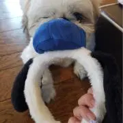 さっちゃんの画像
